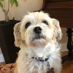 Meet your Posher, Ewelina